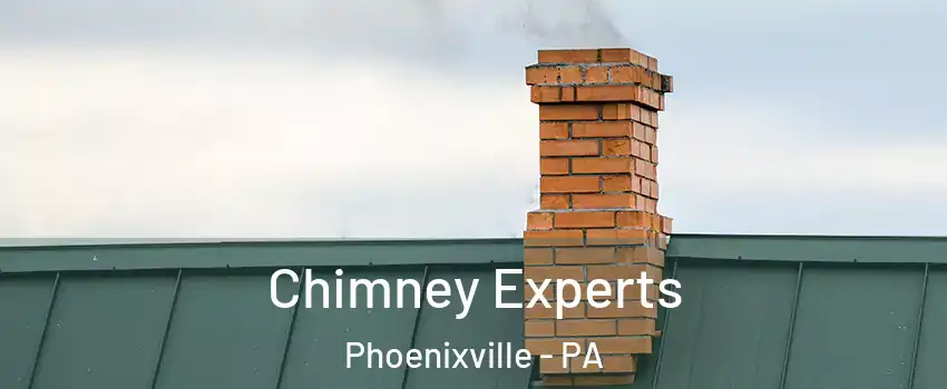 Chimney Experts Phoenixville - PA