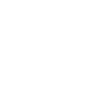 Professional Chimney Flue Installation in Phoenixville, Pennsylvania